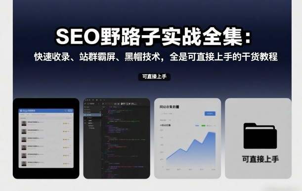 SEO实战全集,收录霸屏黑帽技术,提供可上手的干货教程-徐小晨博客